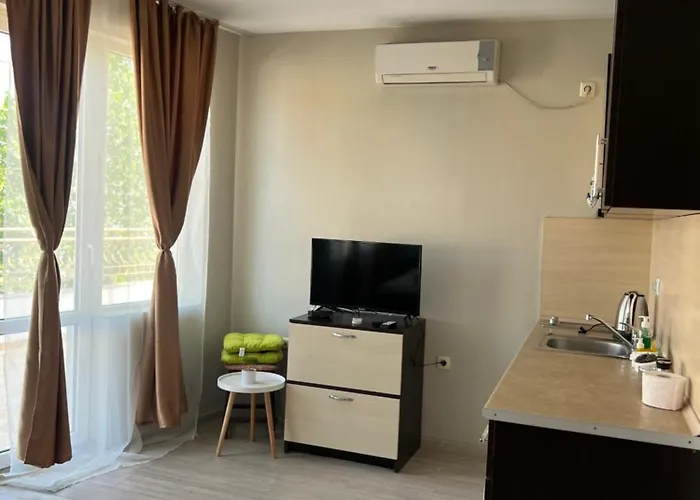 студио петя