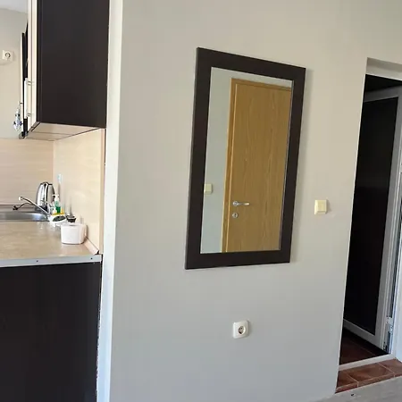 студио петя サニービーチ